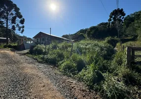 Foto 1 de Lote/Terreno à venda, 375m² em Sao Virgilio, Caxias do Sul