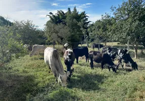 Foto 1 de Fazenda/Sítio com 3 Quartos à venda, 48000m² em Zona Rural, Monte Santo de Minas