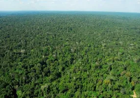 Foto 1 de Fazenda/Sítio à venda, 100000000m² em Centro, Presidente Figueiredo