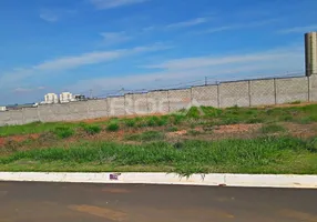 Foto 1 de Lote/Terreno à venda, 301m² em Parque Santa Felícia Jardim, São Carlos