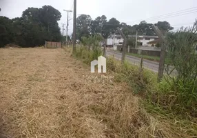 Foto 1 de Lote/Terreno à venda, 36000m² em Miringuava, São José dos Pinhais