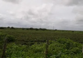 Foto 1 de Fazenda/Sítio à venda, 550m² em Ponta Negra, Natal