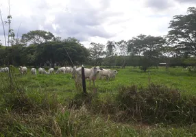 Foto 1 de Lote/Terreno à venda, 20000m² em Zona Rural, Araçaí