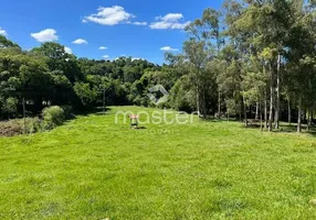 Foto 1 de Fazenda/Sítio à venda, 6000m² em , Mato Castelhano