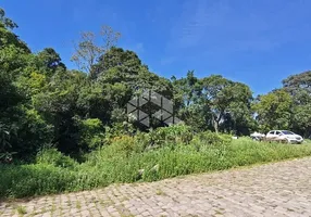 Foto 1 de Lote/Terreno à venda, 13268m² em Esplanada, Caxias do Sul