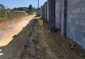 Foto 1 de Lote/Terreno à venda, 300m² em Barro Preto, São José dos Pinhais