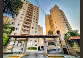 Foto 1 de Apartamento com 3 Quartos à venda, 55m² em Jardim Cachoeira, São Paulo