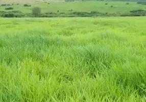 Foto 1 de Fazenda/Sítio à venda, 1130m² em , São Bento do Una