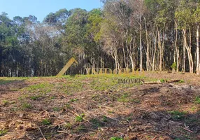 Foto 1 de Fazenda/Sítio à venda, 20000m² em Centro, Campo Largo