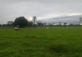 Foto 1 de Fazenda/Sítio à venda, 630m² em Zona Rural, Batayporã
