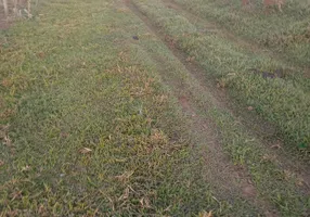 Foto 1 de Fazenda/Sítio com 2 Quartos à venda, 193600m² em Zona Rural, Santo Antônio da Alegria