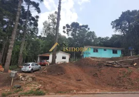 Foto 1 de Fazenda/Sítio com 2 Quartos à venda, 1000m² em São Dimas, Colombo