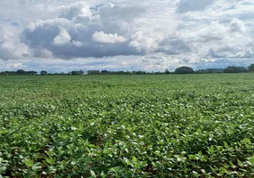 Foto 1 de Fazenda/Sítio com 2 Quartos à venda, 420000m² em Paranoá, Brasília