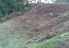 Foto 1 de Lote/Terreno à venda, 490m² em Souza Cruz, Brusque