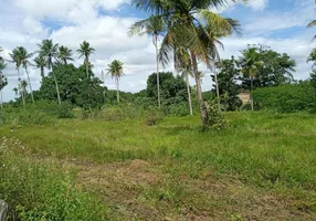 Foto 1 de Fazenda/Sítio à venda, 1500000m² em Guajiru, São Gonçalo do Amarante