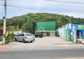 Foto 1 de Galpão/Depósito/Armazém à venda, 450m² em Rio Tavares, Florianópolis