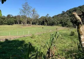 Foto 1 de Fazenda/Sítio com 4 Quartos à venda, 11000m² em Juquiazinho, Juquitiba