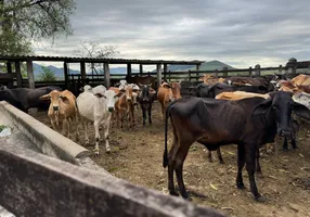 Foto 1 de Fazenda/Sítio com 2 Quartos à venda, 92000m² em Picos, Itaboraí