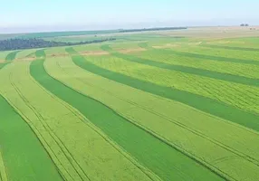 Foto 1 de Fazenda/Sítio com 1 Quarto à venda, 8090m² em , Paranatinga