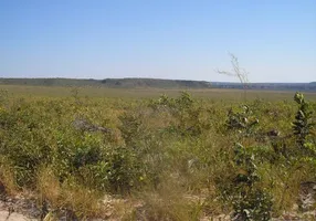 Foto 1 de Fazenda/Sítio à venda, 1300m² em , Dianópolis