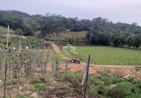 Foto 1 de Fazenda/Sítio com 1 Quarto à venda, 18000m² em Centro, Monte Belo do Sul