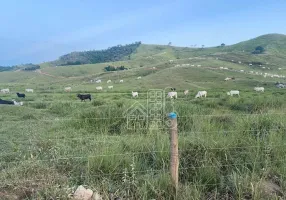 Foto 1 de Fazenda/Sítio com 3 Quartos à venda, 1000m² em Boa Esperança, Rio Bonito