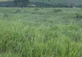 Foto 1 de Fazenda/Sítio à venda em Area Rural de Anapolis, Anápolis