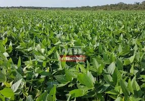 Foto 1 de Fazenda/Sítio à venda em Zona Rural, Canabrava do Norte