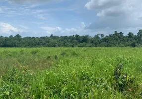 Foto 1 de Fazenda/Sítio com 2 Quartos à venda, 2030000m² em Promissao, Paragominas