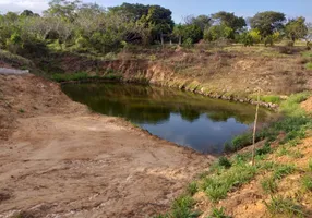 Foto 1 de Fazenda/Sítio com 3 Quartos à venda, 4600m² em Zona Rural, Monte Alegre