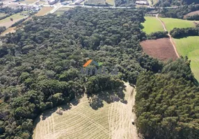 Foto 1 de Fazenda/Sítio com 1 Quarto à venda, 32000m² em Dona Francisca, São Bento do Sul