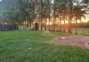 Foto 1 de Fazenda/Sítio com 4 Quartos à venda, 471m² em Zona Rural, Miguelópolis