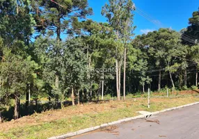 Foto 1 de Lote/Terreno à venda, 558m² em Dutra, Gramado