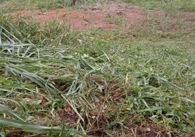 Foto 1 de Lote/Terreno à venda, 450m² em Céu Azul, Belo Horizonte