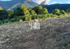 Foto 1 de Lote/Terreno à venda, 10000m² em Arace, Domingos Martins