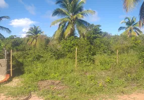 Foto 1 de Lote/Terreno à venda, 800m² em Sibauma, Tibau do Sul