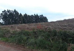 Foto 1 de Fazenda/Sítio à venda, 40000m² em Serra Grande, Gramado