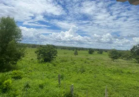 Foto 1 de Fazenda/Sítio com 1 Quarto à venda, 19500000m² em Novo Buritizeiro, Buritizeiro