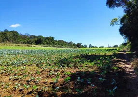 Foto 1 de Lote/Terreno à venda, 45737m² em Ibiuna, Ibiúna