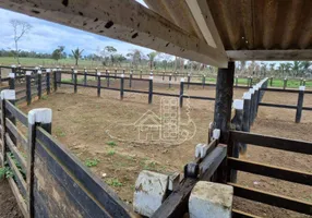 Foto 1 de Fazenda/Sítio com 6 Quartos à venda, 1201m² em Zona Rural, Campos Altos