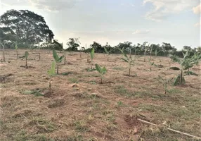 Foto 1 de Lote/Terreno à venda, 22000m² em Reforma Agraria, Valinhos