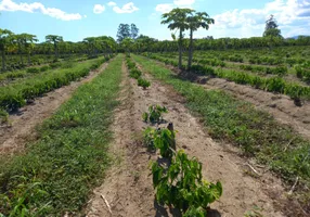 Foto 1 de Fazenda/Sítio com 1 Quarto à venda, 200m² em Jacupemba, Aracruz