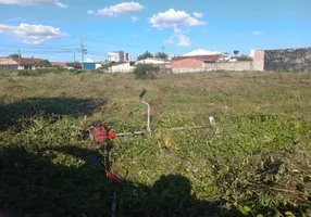 Foto 1 de Lote/Terreno para alugar, 3000m² em Parque da Fonte, São José dos Pinhais