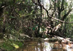 Foto 1 de Fazenda/Sítio à venda, 5000m² em Bonanza, Santa Luzia