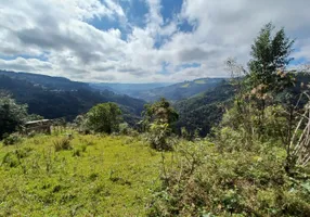 Foto 1 de Fazenda/Sítio à venda, 49000m² em Centro, Alfredo Wagner