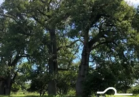 Foto 1 de Fazenda/Sítio à venda em Zona Rural, Jaíba