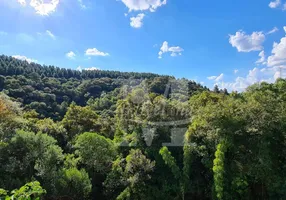 Foto 1 de Fazenda/Sítio com 3 Quartos para venda ou aluguel, 90000m² em Itambezinho, Campo Largo