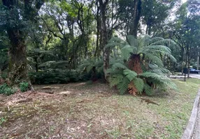 Foto 1 de Lote/Terreno à venda, 1110m² em Mato Queimado, Gramado