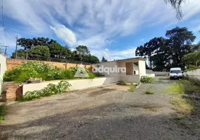 Foto 1 de Lote/Terreno para alugar, 100m² em Colonia Dona Luiza, Ponta Grossa