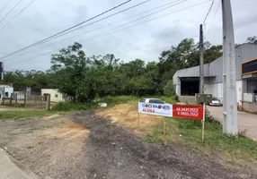 Foto 1 de Lote/Terreno para alugar, 583m² em Jardim das Paineiras, Criciúma